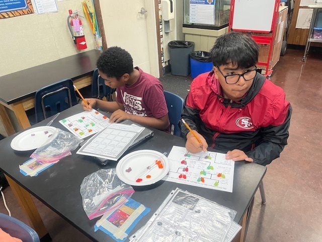 Genetics lesson in Science