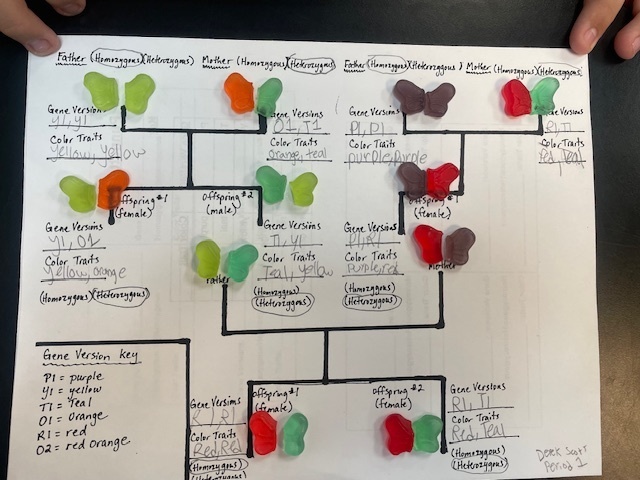 Genetics lesson in Science