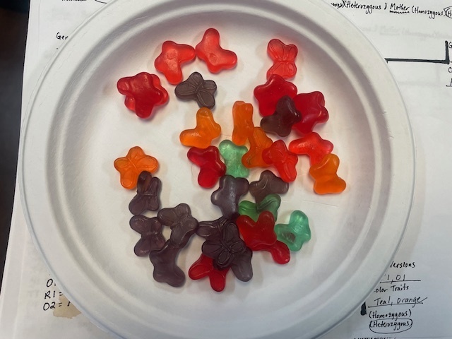 Genetics lesson in Science