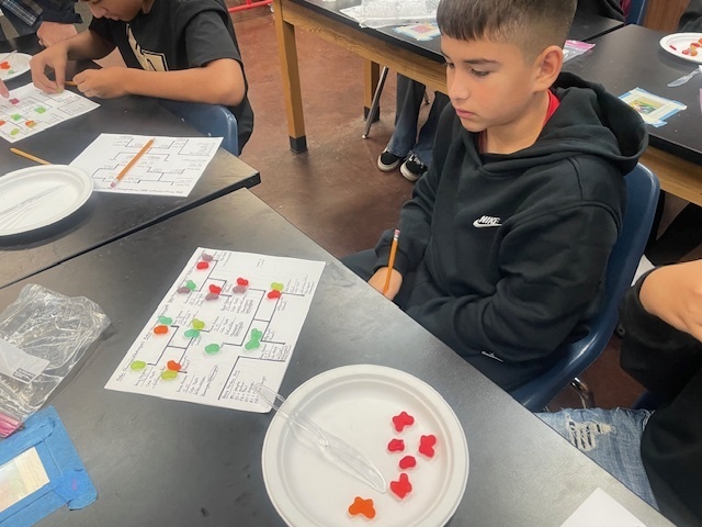 Genetics lesson in Science