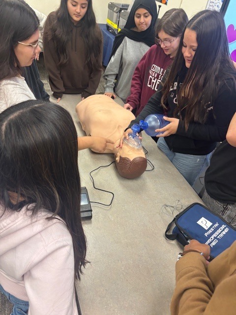 Career Inspiration Center