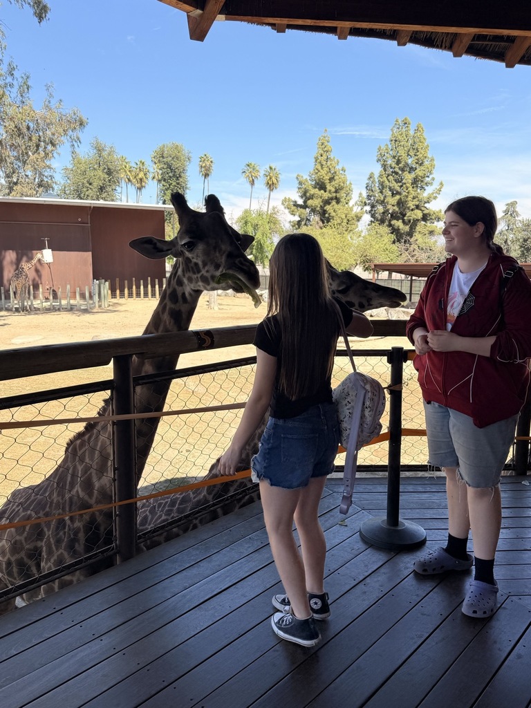 CJSF Club Field Trip - Fresno Zoo