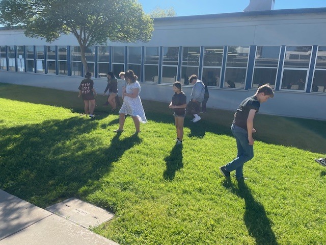 Science Camouflage  Experiment