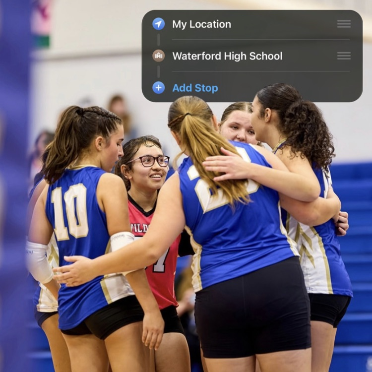Home volleyball game
