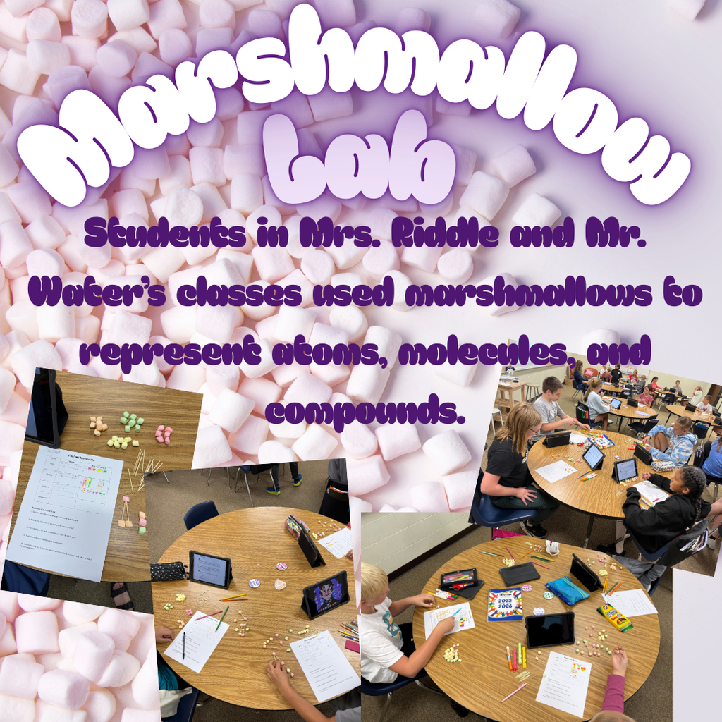 Mrs. Riddle and Mr Water's classes completed a Marshmallow Lab in science.