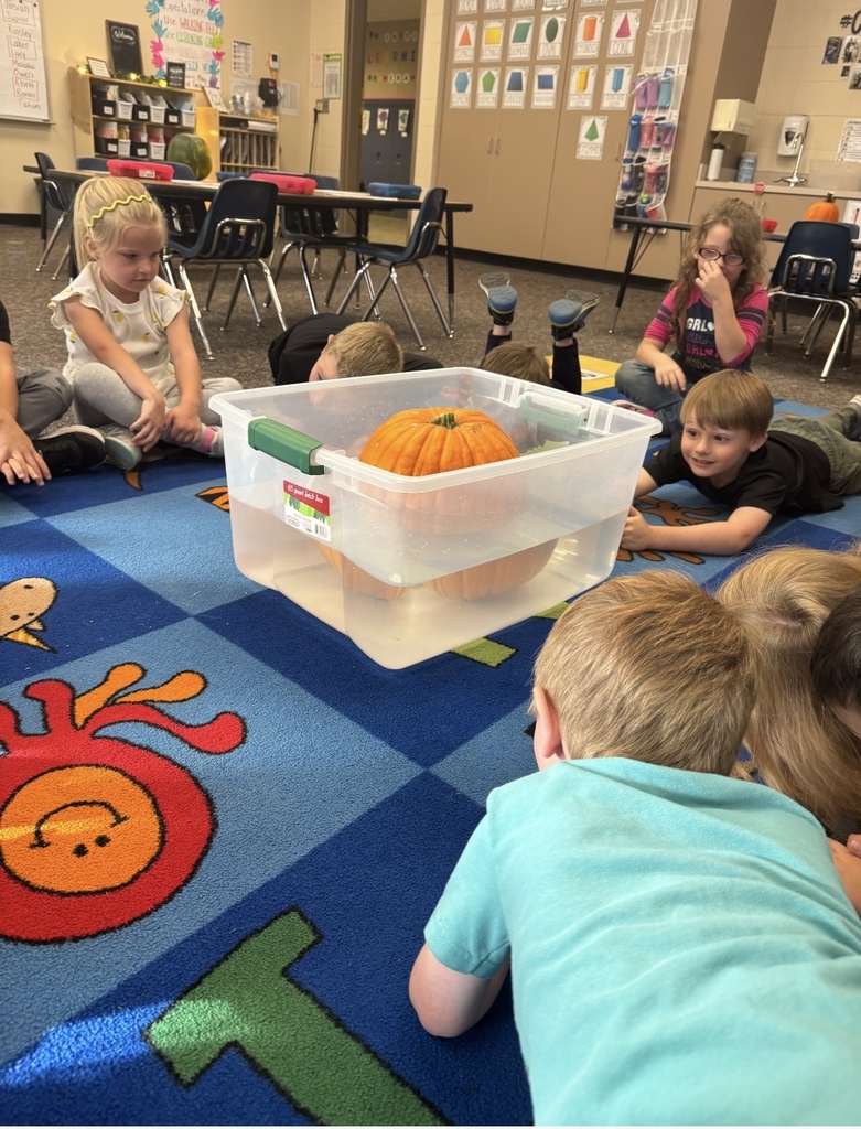 Students smoking and discovering insides of a pumpkin