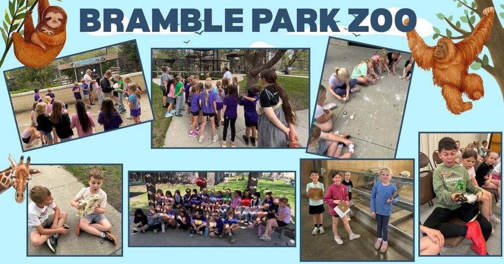 Students at different stations at the Bramble Park Zoo