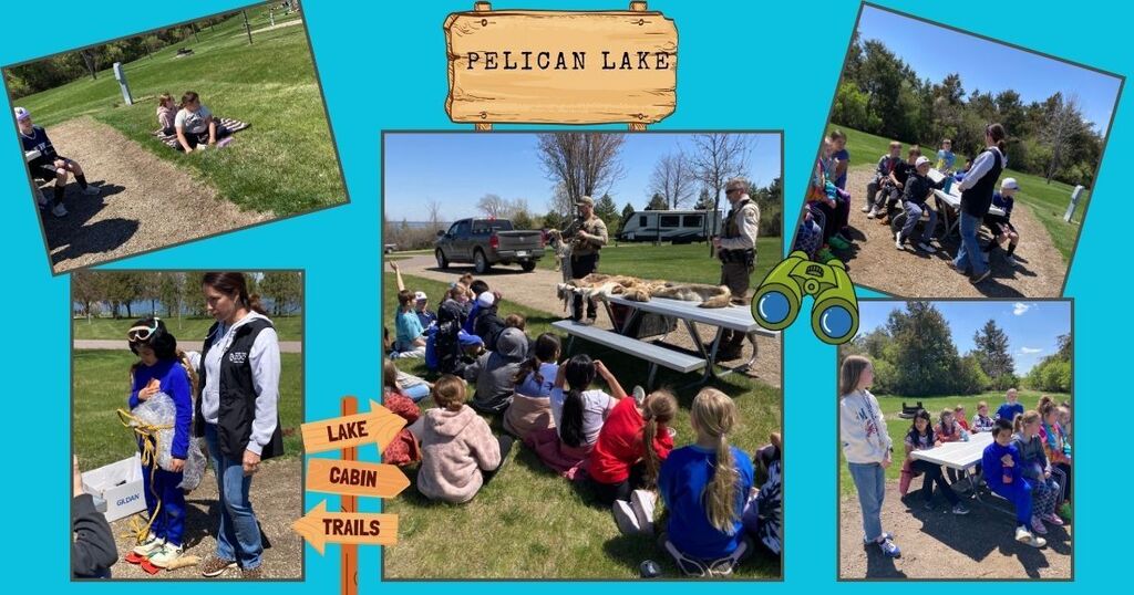 Fourth grade students participating in outdoor learning activities at Lake Pelican, including examining animal pelts, exploring antlers, and learning about ecosystems and wildlife.