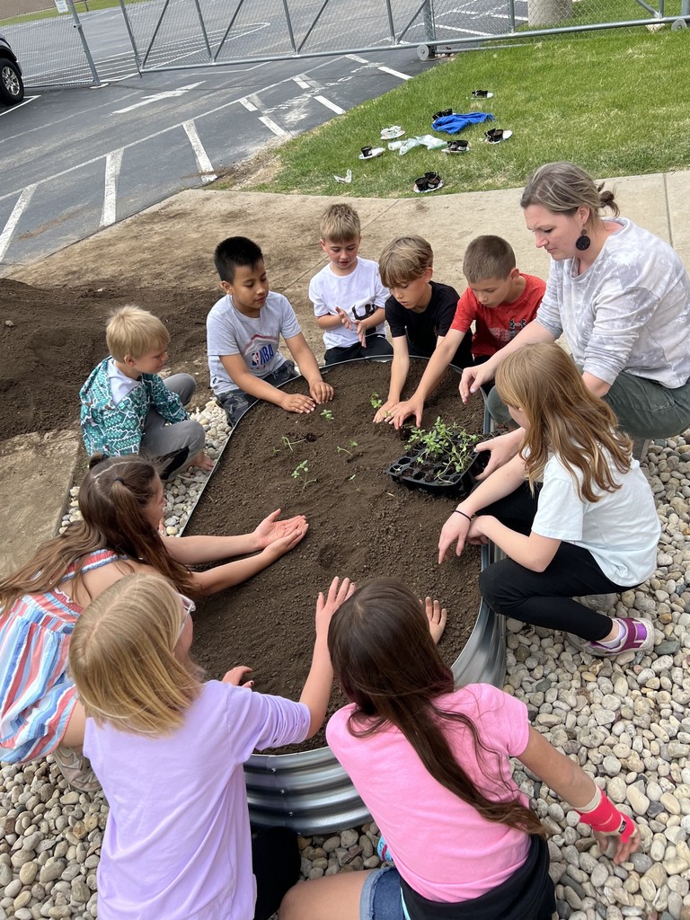 Webster pollinator garden