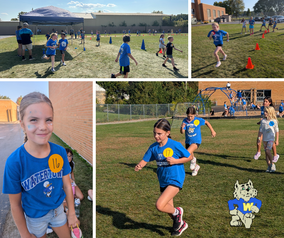 Wildcat Dash