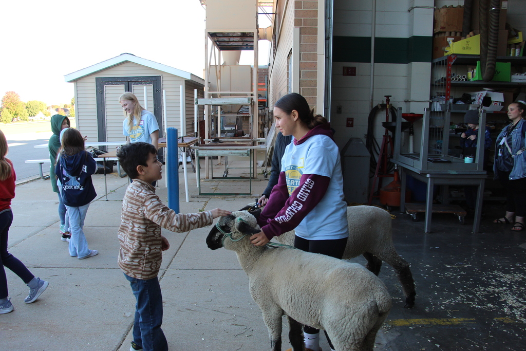 FFA Day on the Farm