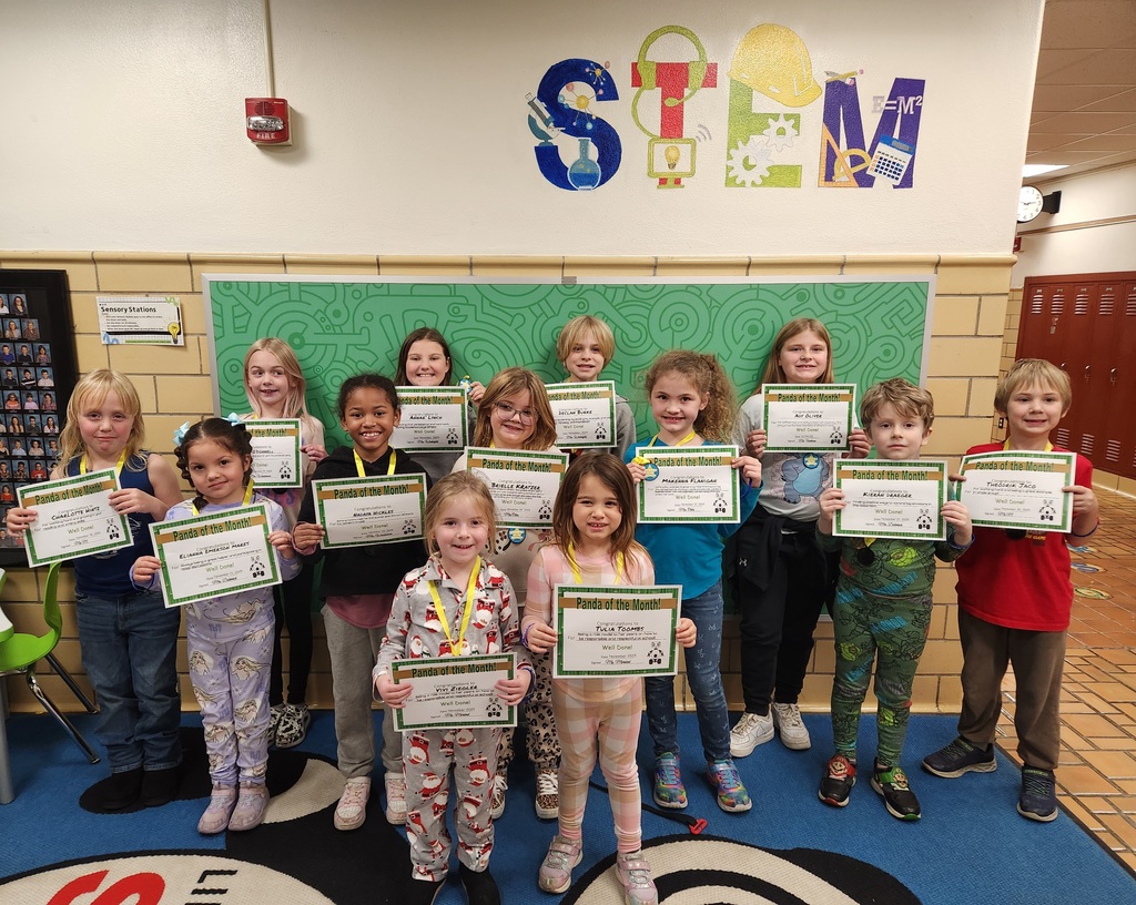 Lincoln STEM Pandas of the Month for November