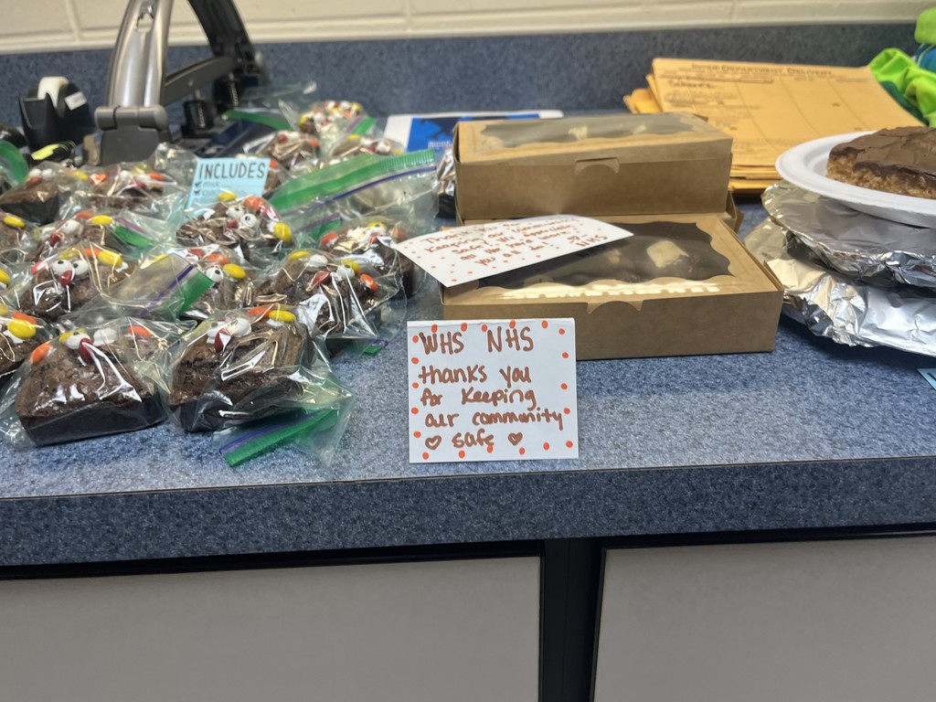 NHS Students Volunteering