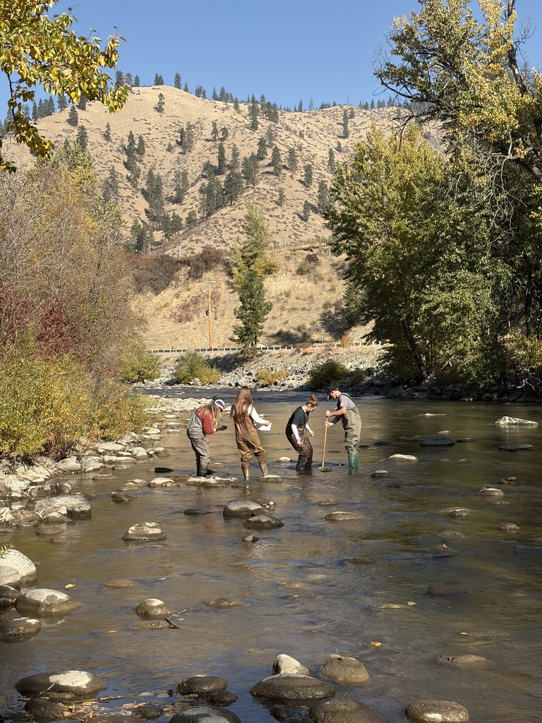 Students in a river.