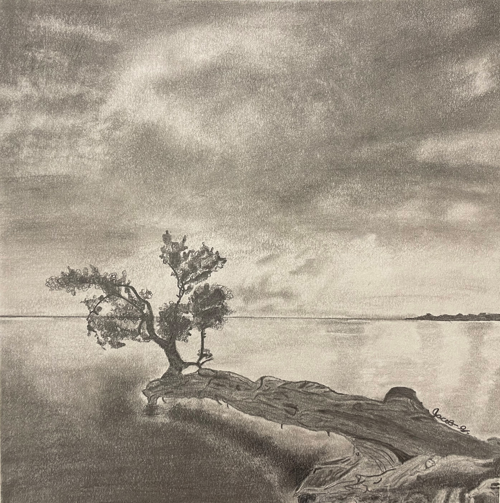 pencil drawing of a lake with peninsula including trees