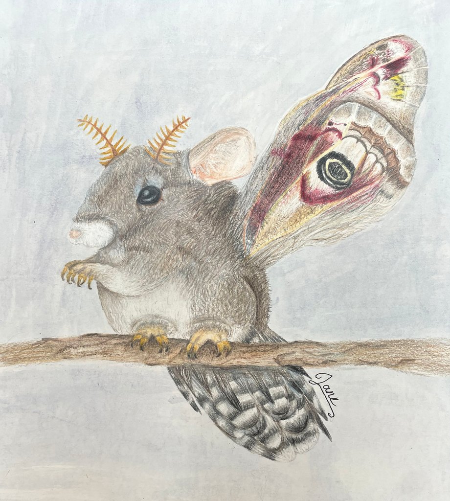 drawing of a combined animal consisting of mouse, butterfly, and bird