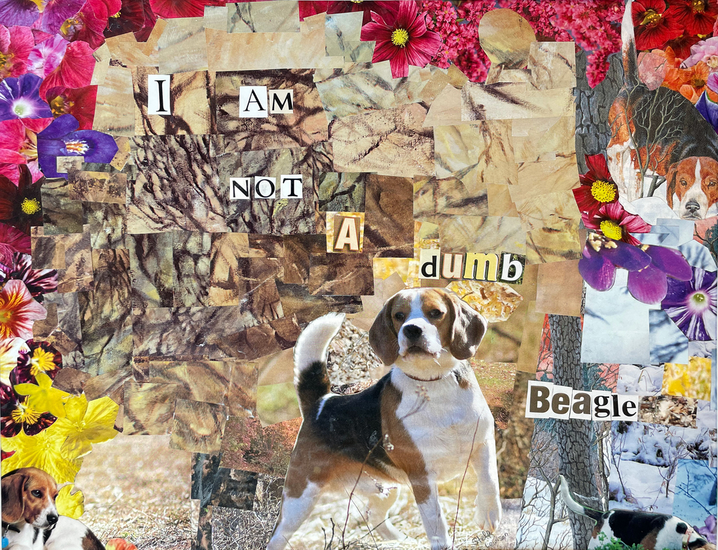 collage of flowers, a dog, designs stating, "I am not a dumb Beagle"