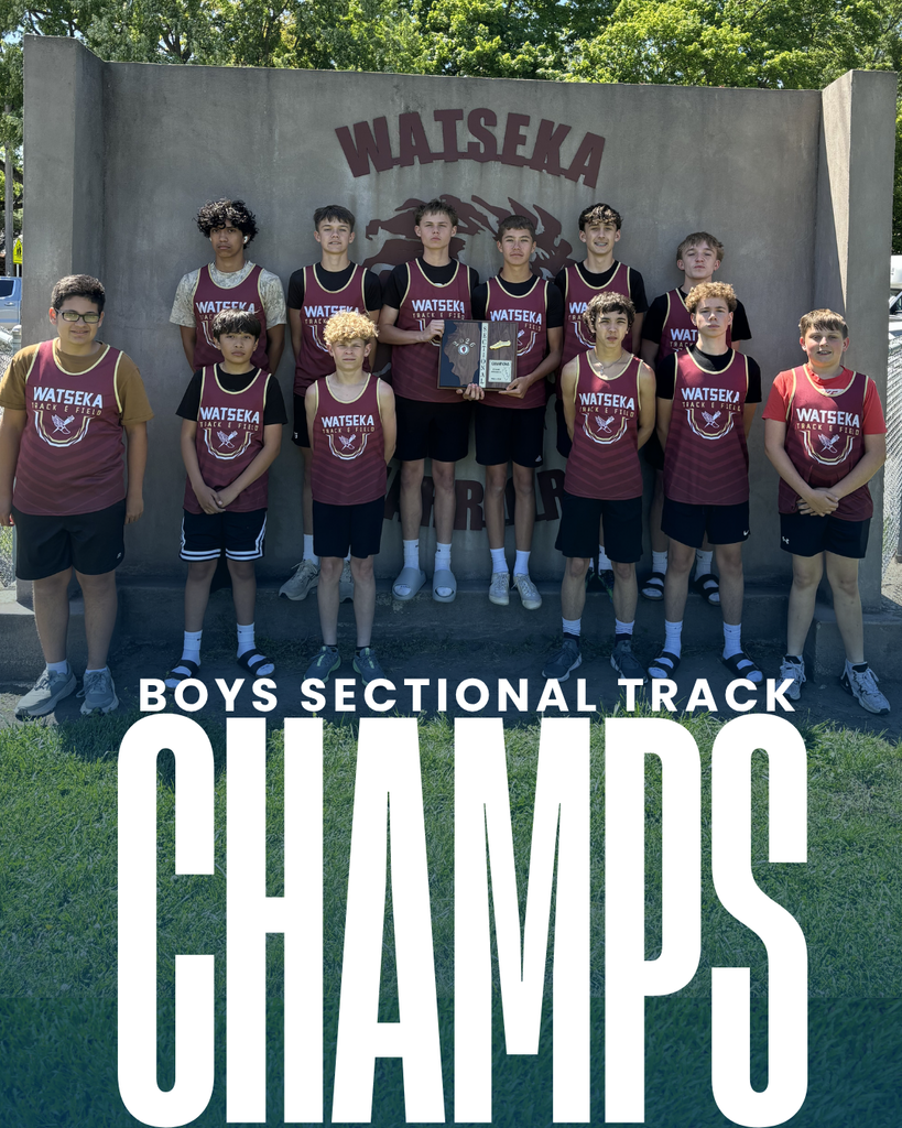 Ute are Sectional Champs in Track