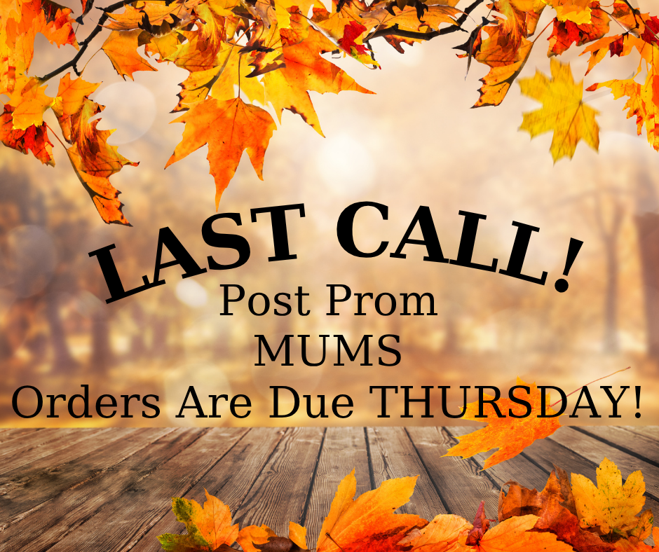 Mum Sales