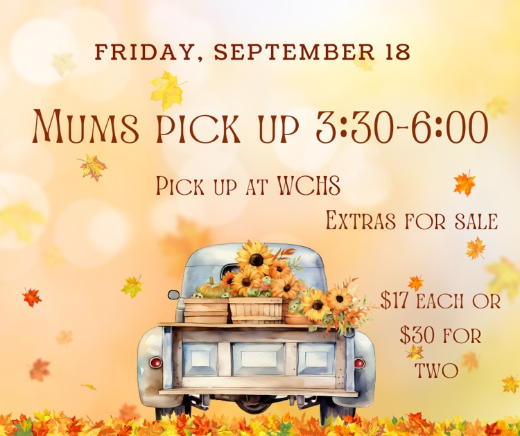 mum sales