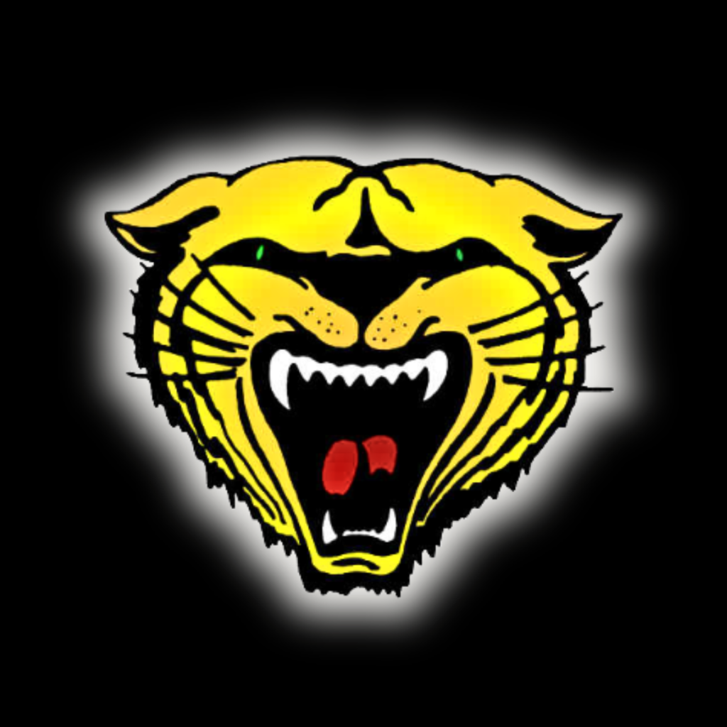 wildcat