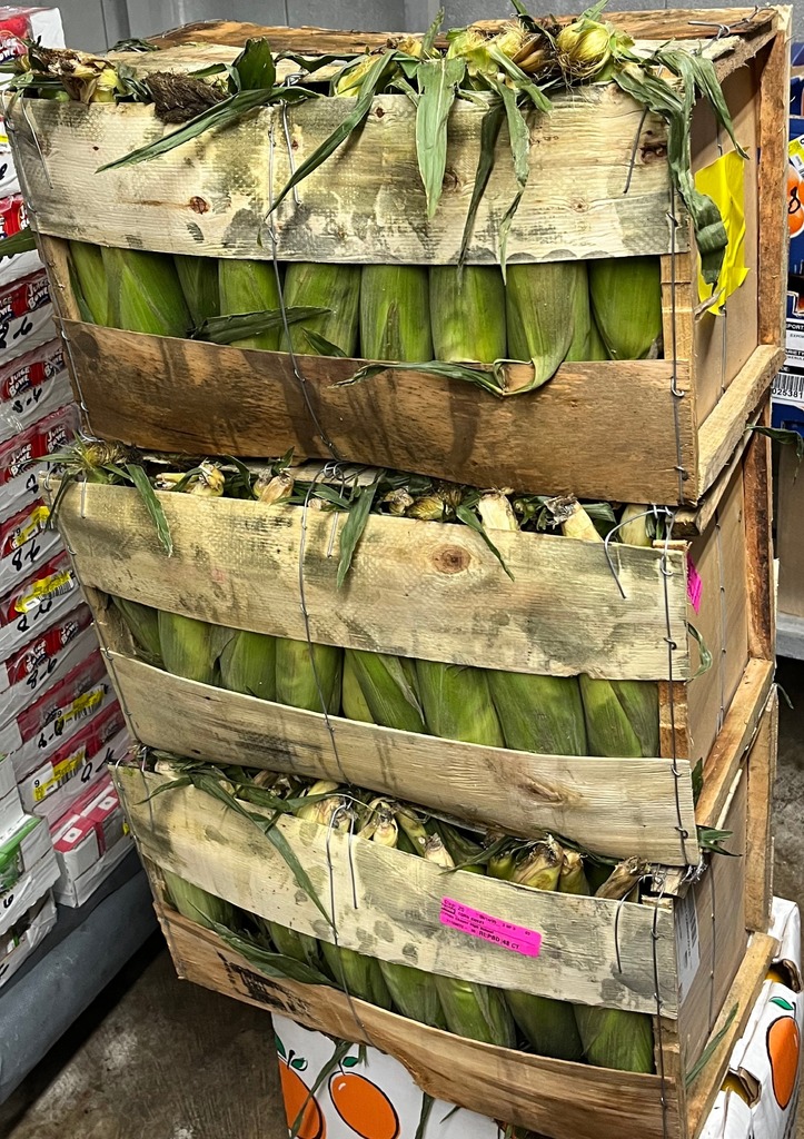 corn