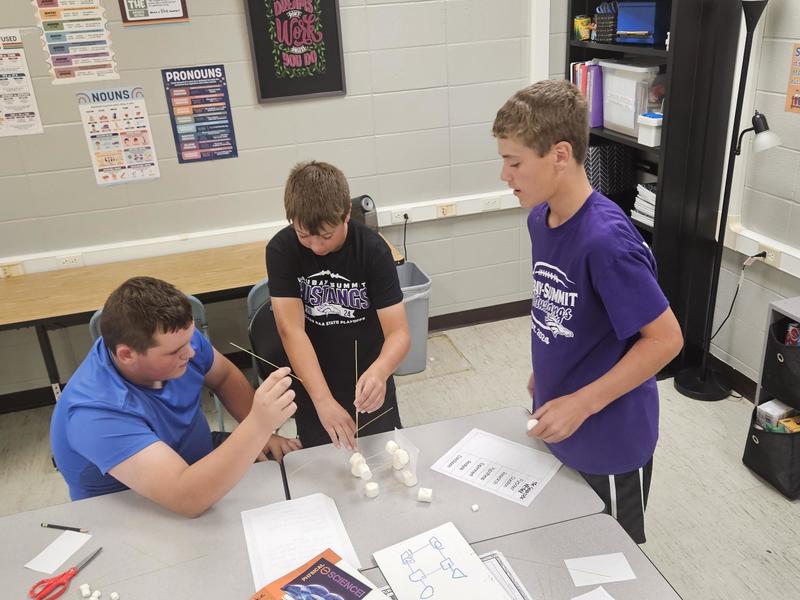 Marshmallow tower