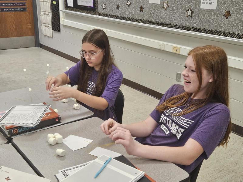 Marshmallow tower