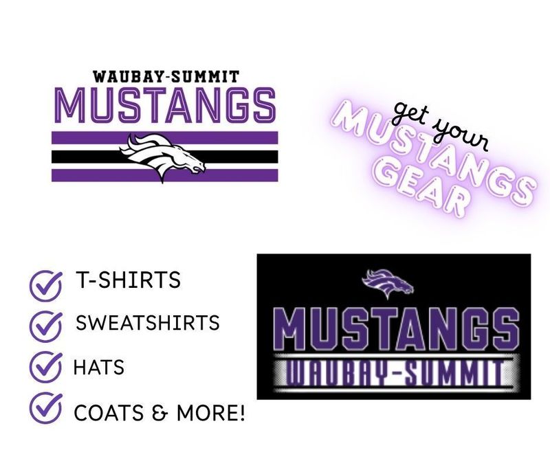 Mustangs Gear