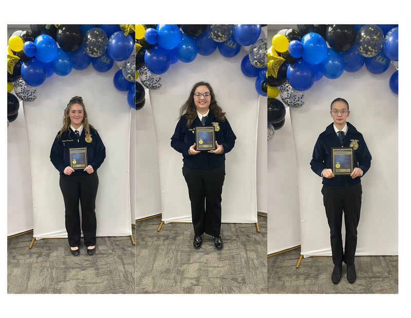 FFA Awards
