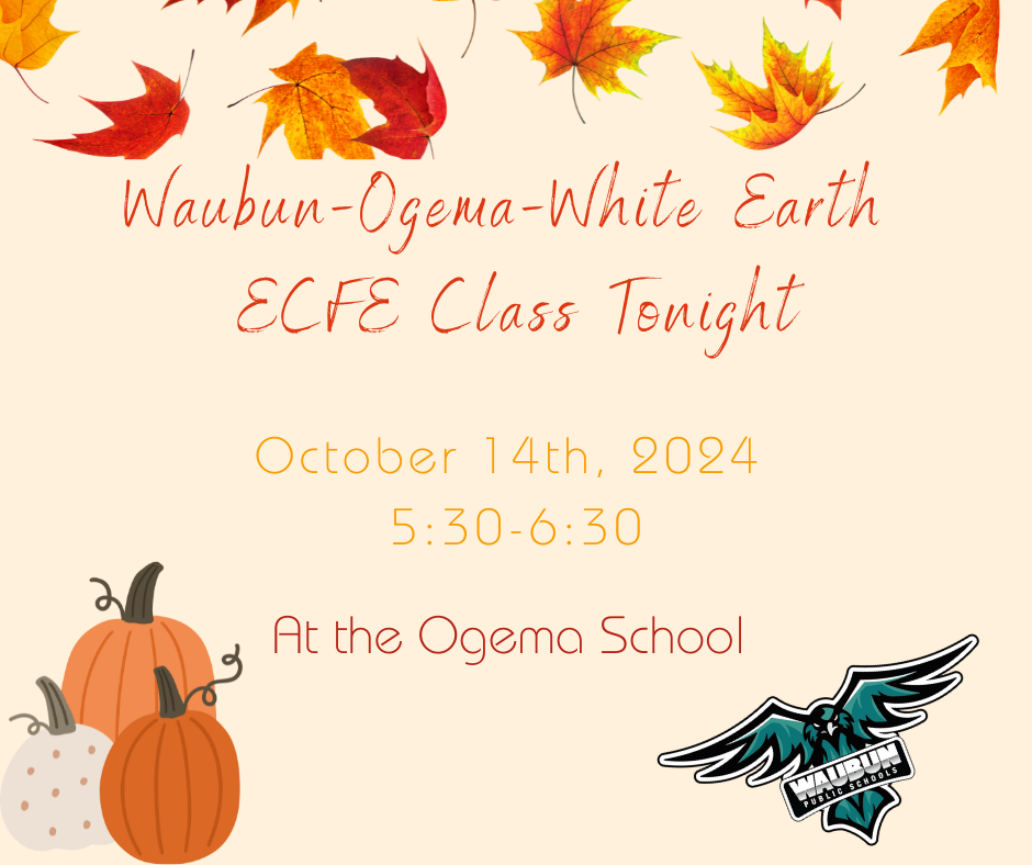 ECFE Night