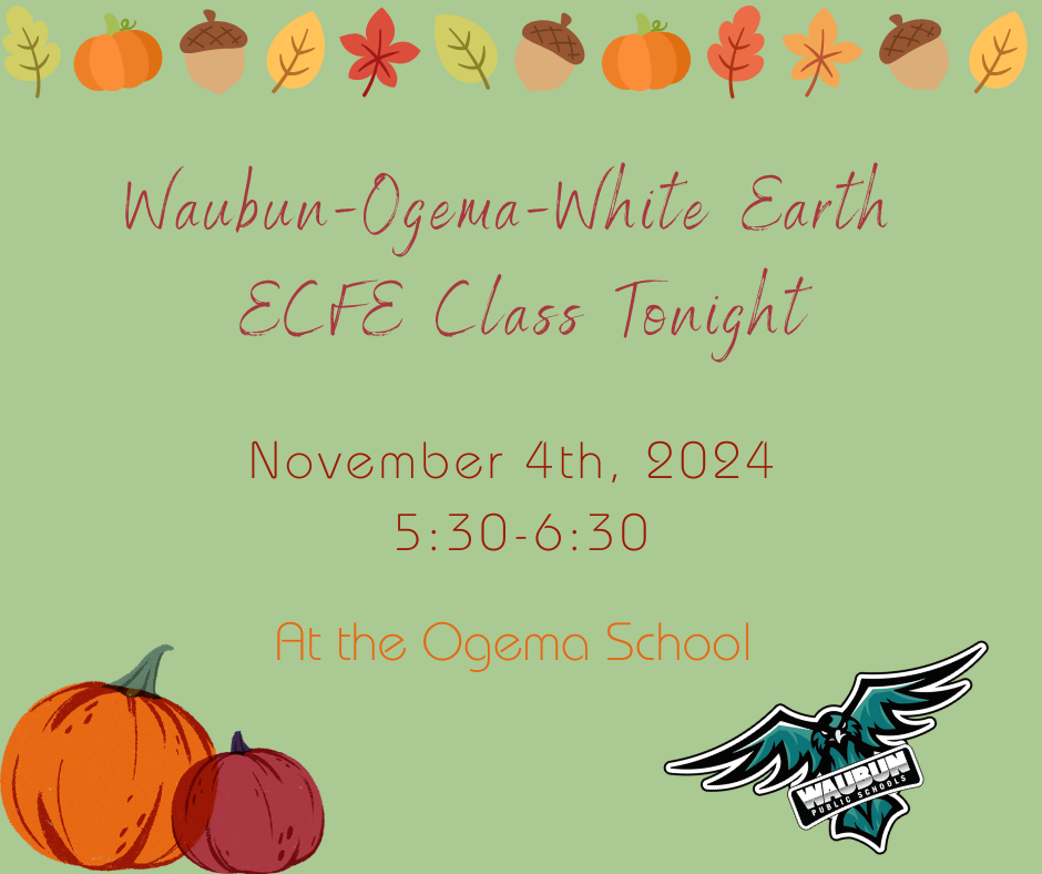 ECFE Night