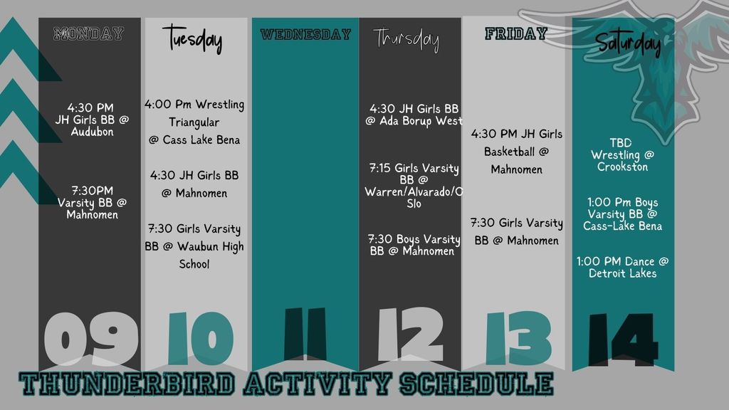 activity schedule 