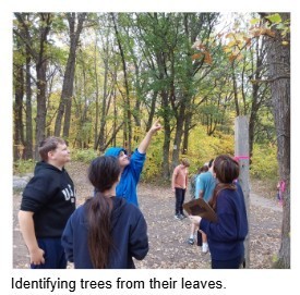 Identifying trees