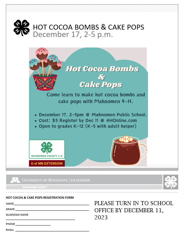 HOT COCOA BOMBS AND CAKE POPS