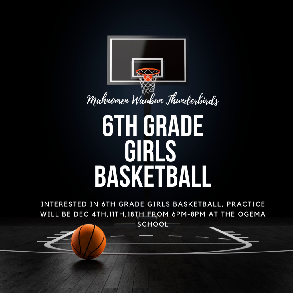 6th grade girls basketball