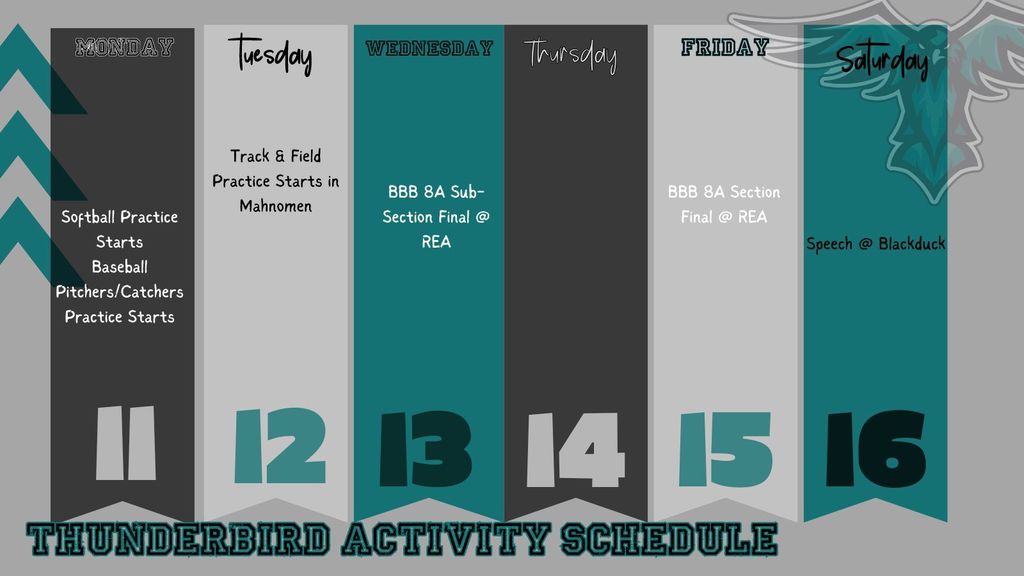 Schedule