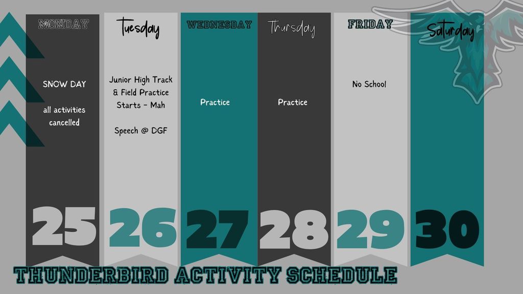 Activity Schedule