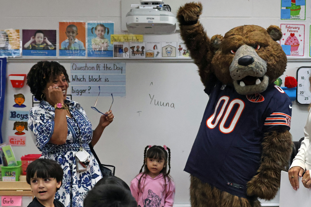 bears