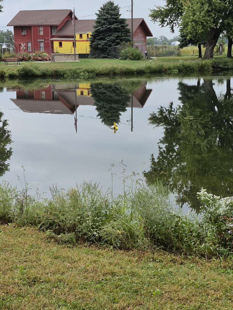 "Safety Hazard" went so far, it landed in the lake.