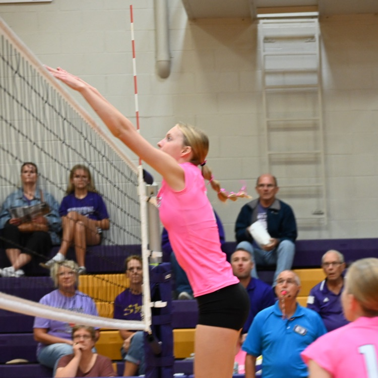 Wausa Public Schools VB