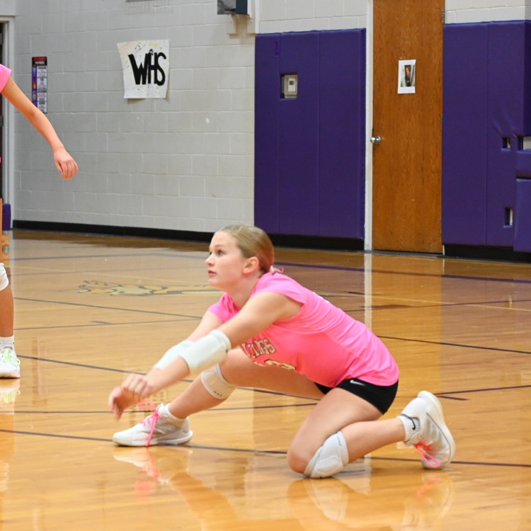 Wausa Public Schools VB