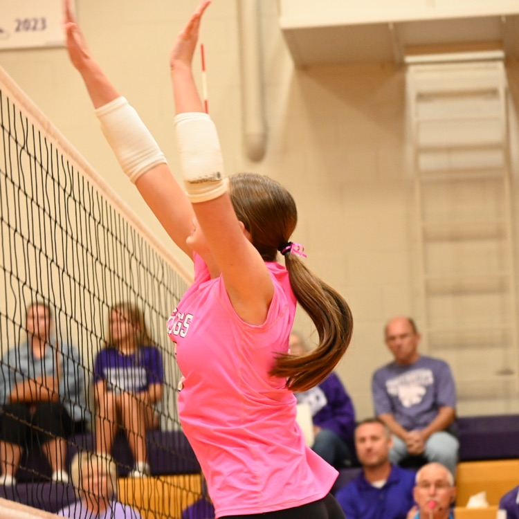 Wausa Public Schools VB