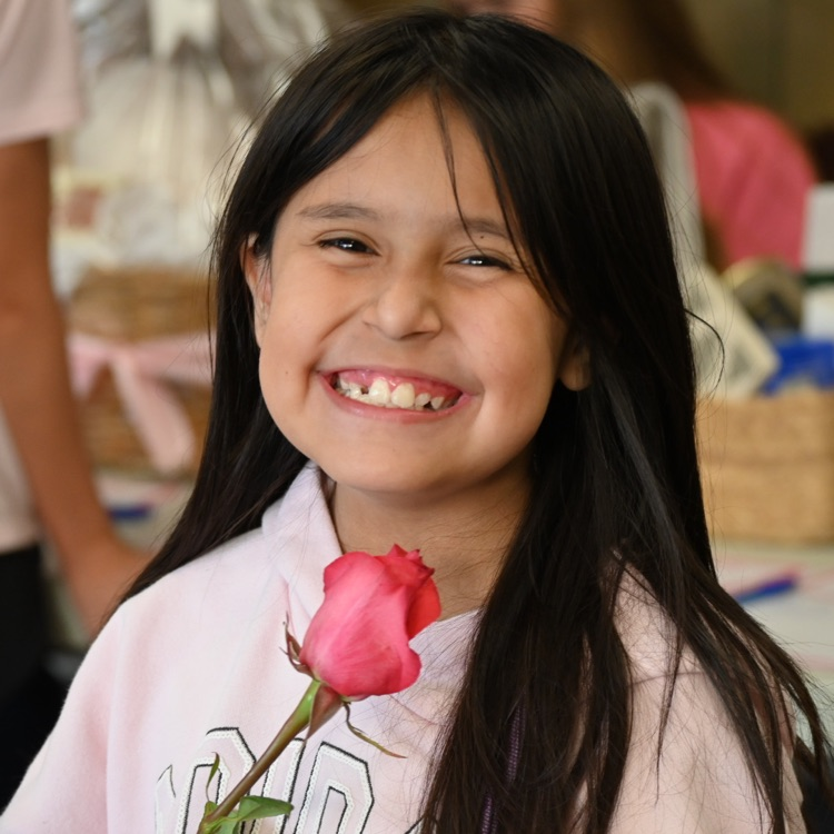 Wausa Public Schools VB