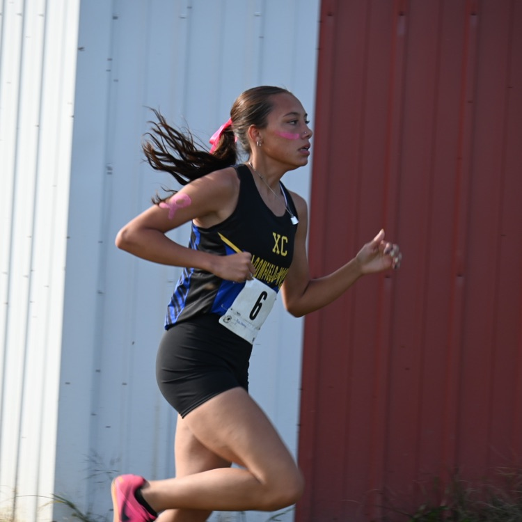 Wausa Public Schools XC 2025