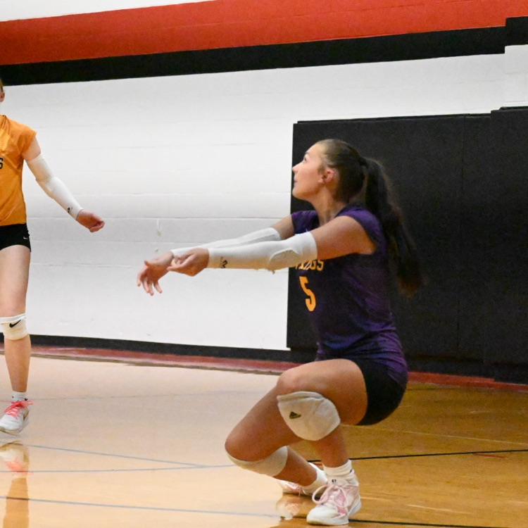 Wausa Public School VB 2025