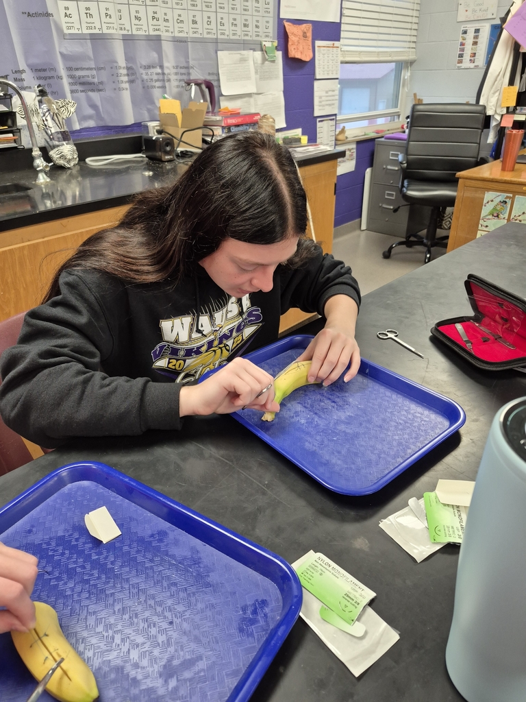 wausa High School Science 2025