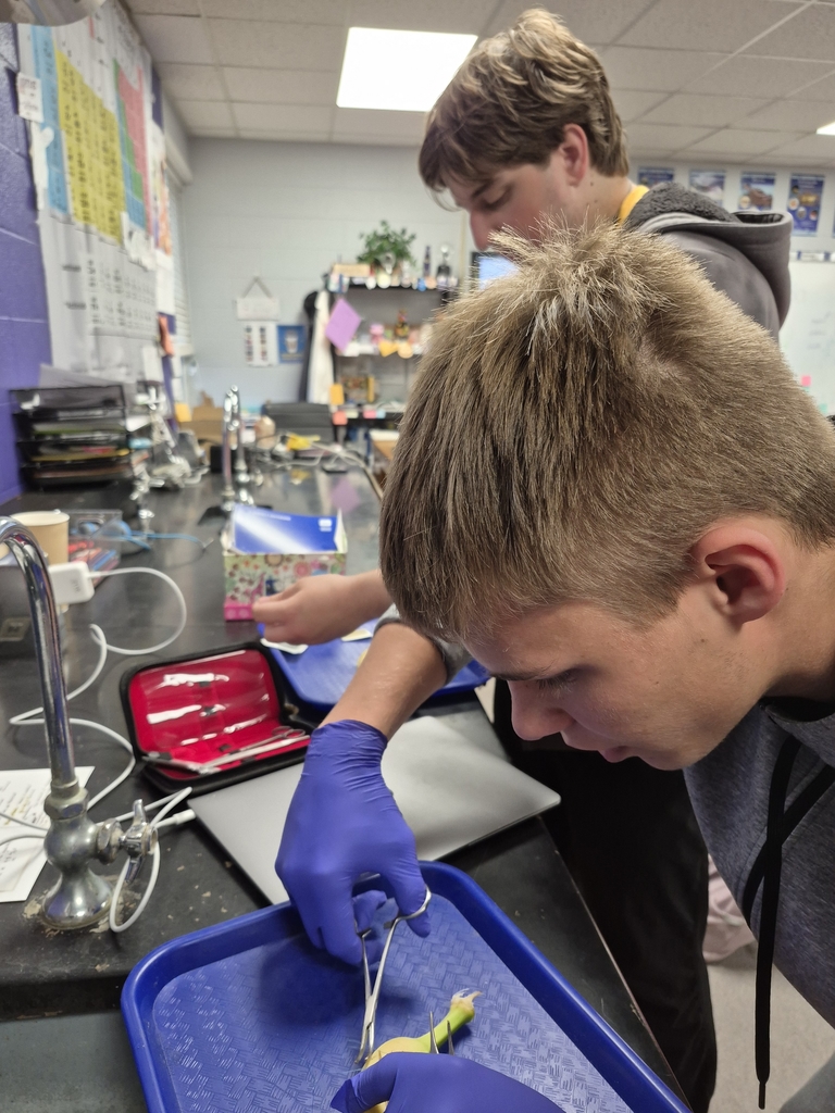 wausa Public Schools high school science 2025