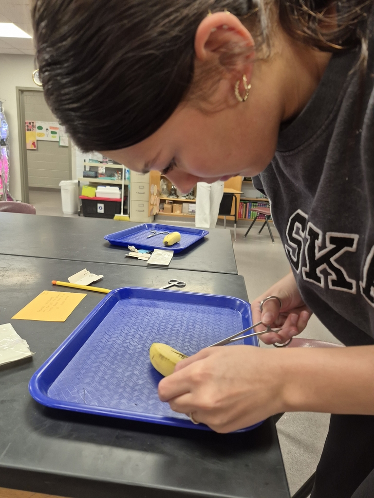 wausa Public Schools high school science 2025