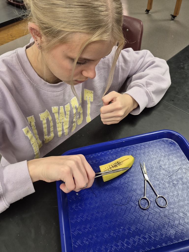 wausa Public Schools 2025